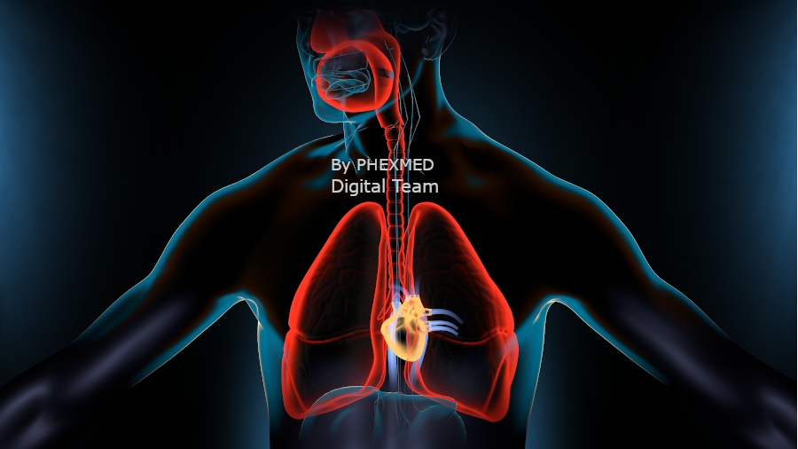 Respiratory - PHEXMED Physiotherapy Health and WellBeing